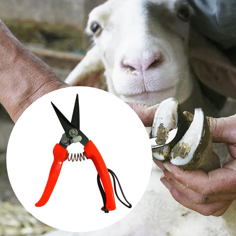Sheep Hoof Trimmers พุ่มไม้ดอก - Woodworking Horse บทวิจารณ์และราคา